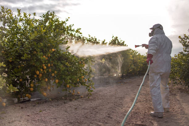 Best Bird Control  in Kana, UT